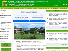 Tablet Screenshot of pau.edu